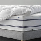 Bico Duvet Climaluxe: Premium Bettwäsche mit innovativer Klimatechnologie für erholsamen Schlaf