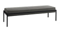 Hasena Pato Bank – Monet steel